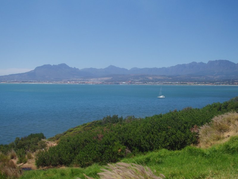 KeHa_in_South_Africa - 154